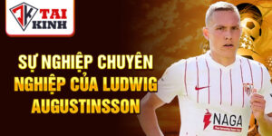 Sự nghiệp chuyên nghiệp của ludwig augustinsson